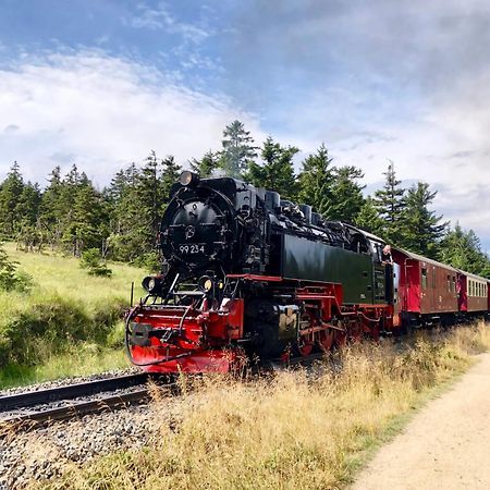 Fewo Fuchsbau Mit Dampfdusche #Kamin#Innenstadtnaehe#Netflix Von Harztraveler 巴特哈尔茨堡 外观 照片