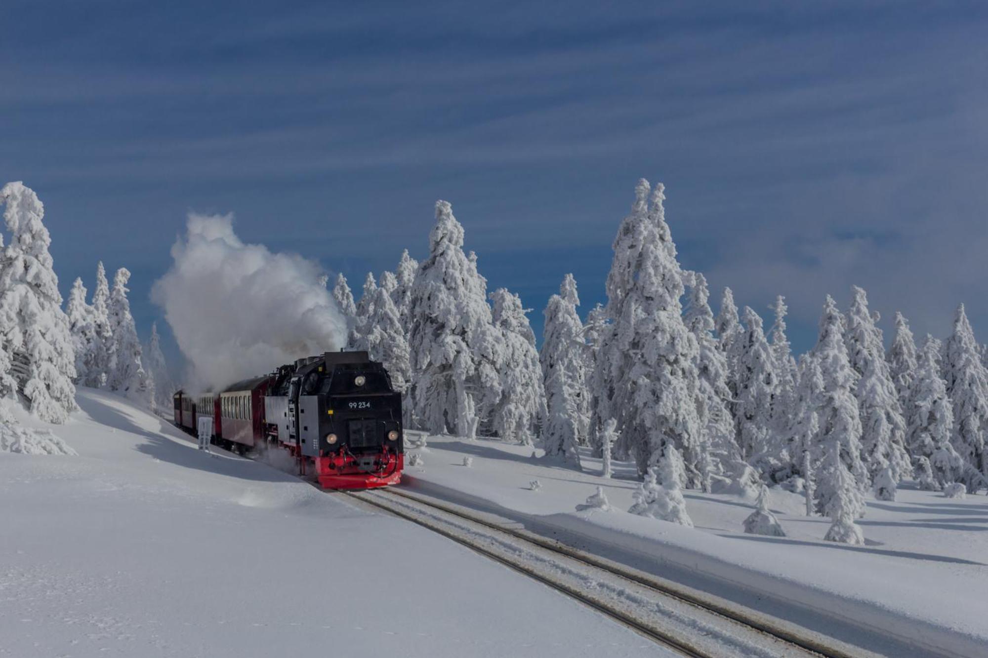 Fewo Fuchsbau Mit Dampfdusche #Kamin#Innenstadtnaehe#Netflix Von Harztraveler 巴特哈尔茨堡 外观 照片